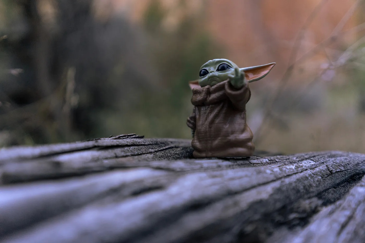 Photo par Jimmy Nguyen sur Unsplash